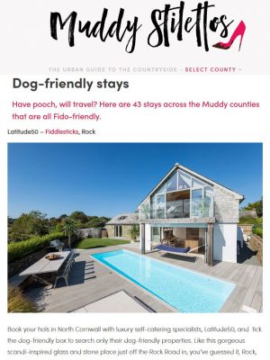 Rock property Fiddlesticks features in Muddy Stilettos round up of dog-friendly stays