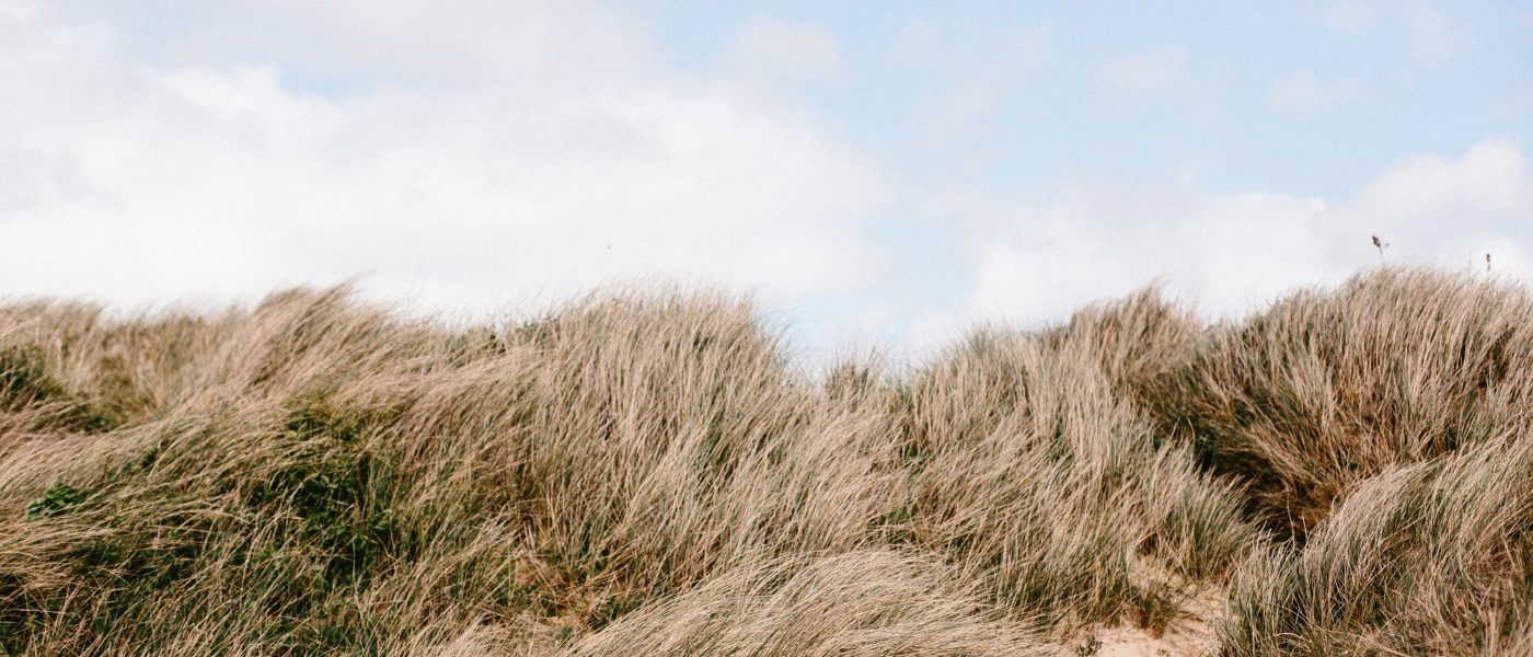 Sand dunes at Rock Beach, Cornwall