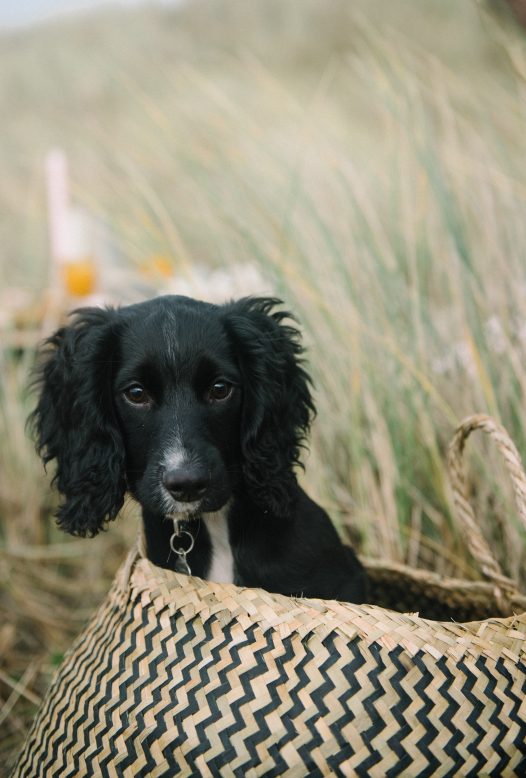 Ideas for a wedding in Cornwall