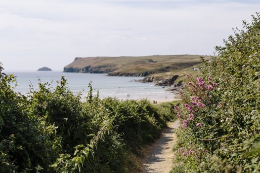 Access the South West Coast Path from the garden at Carn Mar, a self-catering holiday home in New Polzeath, North Cornwall