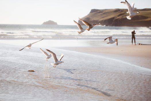 Enjoy long days on Polzeath beach at Carn Mar