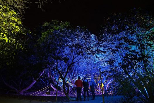 Christmas at The Lost Gardens of Heligan, Cornwall