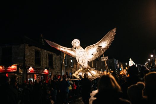 The bird lantern was a crowd favourite at the Truro City of Lights lantern parade