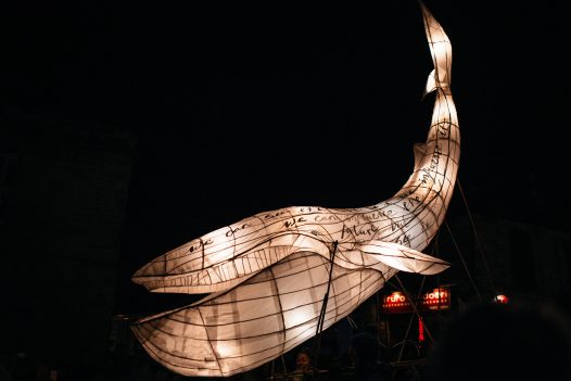 A beautiful whale lanterns at the City of Lights in Truro 2018