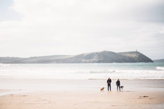 Dog walkers on Polzeath beach, North Cornwall