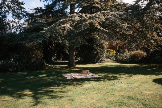 The beautiful mature garden at Half Way Tree, a self-catering holiday home in Rock, North Cornwall