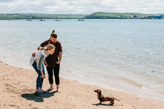 Dog and owner playing on Rock beach, North Cornwall