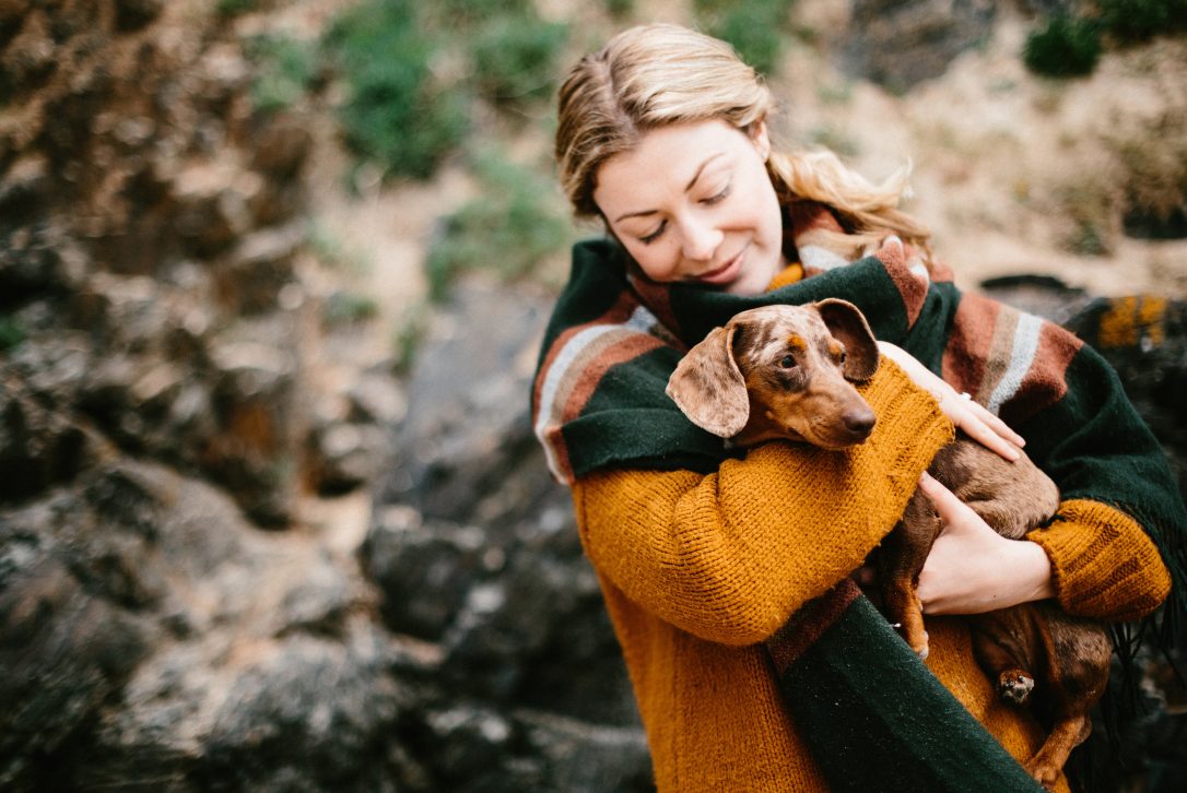 Dogs will love a holiday in Rock