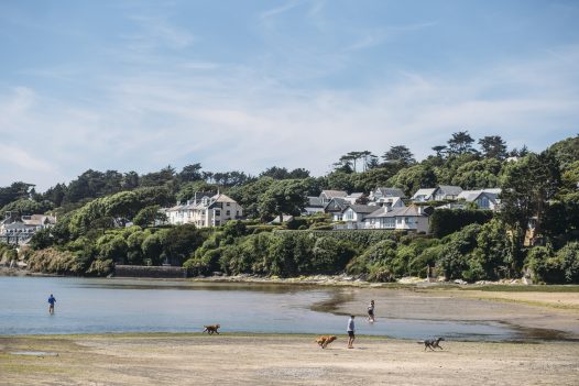 Your dog will love splashing in the water at Porthilly in Rock