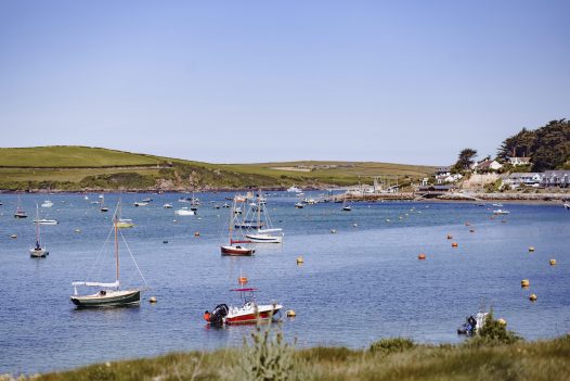 Porthilly Cove in Rock is a dog-friendly beach all year round