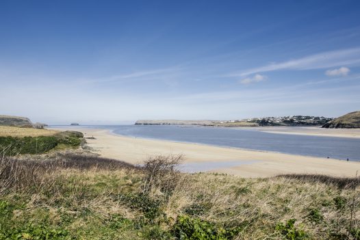 Dog-friendly beaches in Padstow