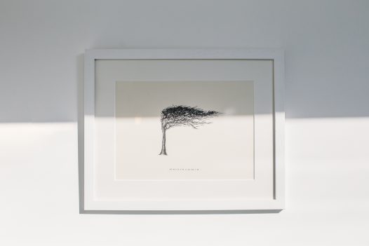 Nicole Heidaripour's wind pruned tree illustration on the wall of the Latitude50 office in Rock