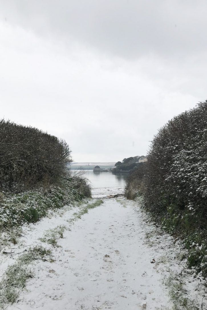 Snow in Cornwall