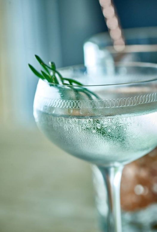 Curio Samphire gin - Latitude50's top 5 Cornish gins