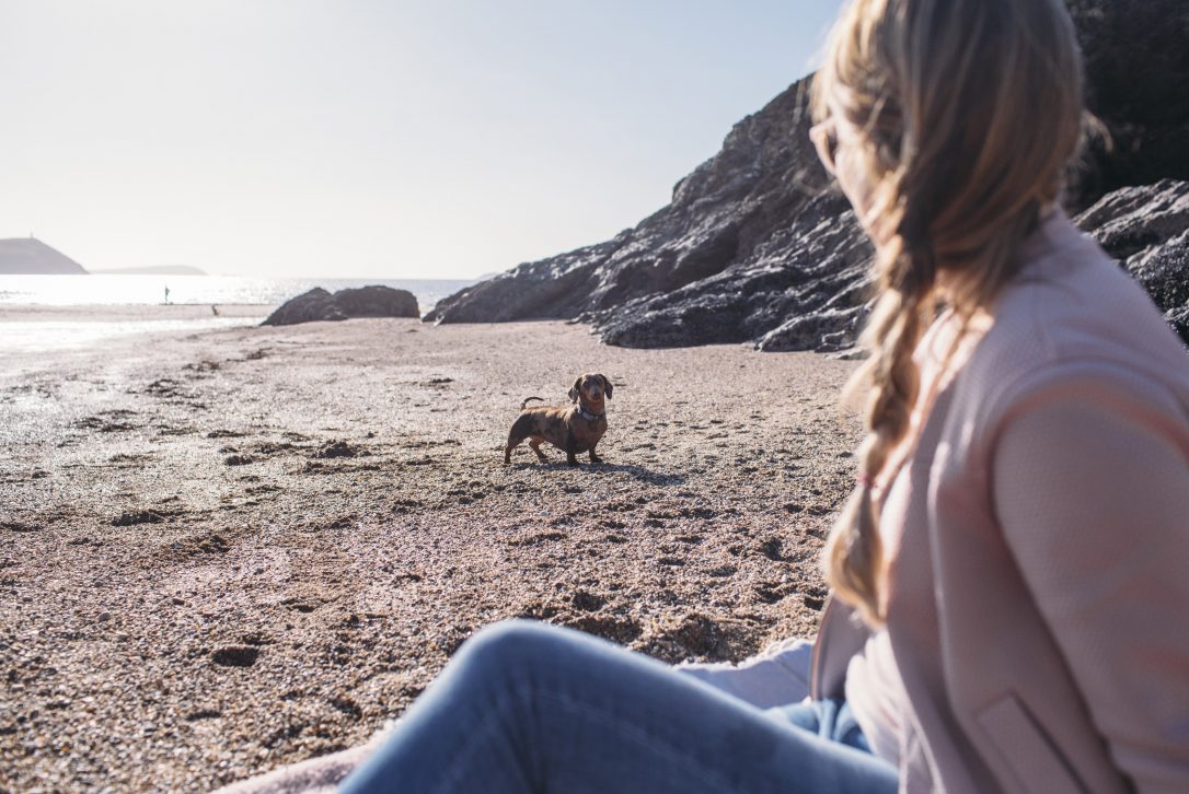 Polzeath is now dog friendly all year round (with just a time restriction during the summer holidays)