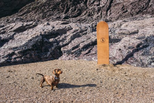 Polzeath is now dog friendly all year round (with just a time restriction during the summer holidays)