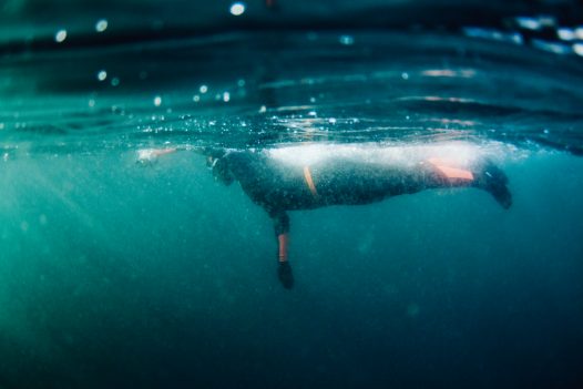 Open water swimming in North Cornwall