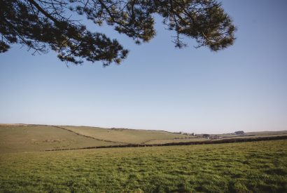 The view across the National Trust land from Pinetree Lodge, a self-catering holiday home in New Polzeath, North Cornwall