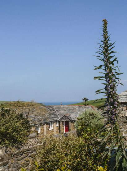 Sea views from The Linhaye, a self-catering holiday home near Port Isaac, North Cornwall