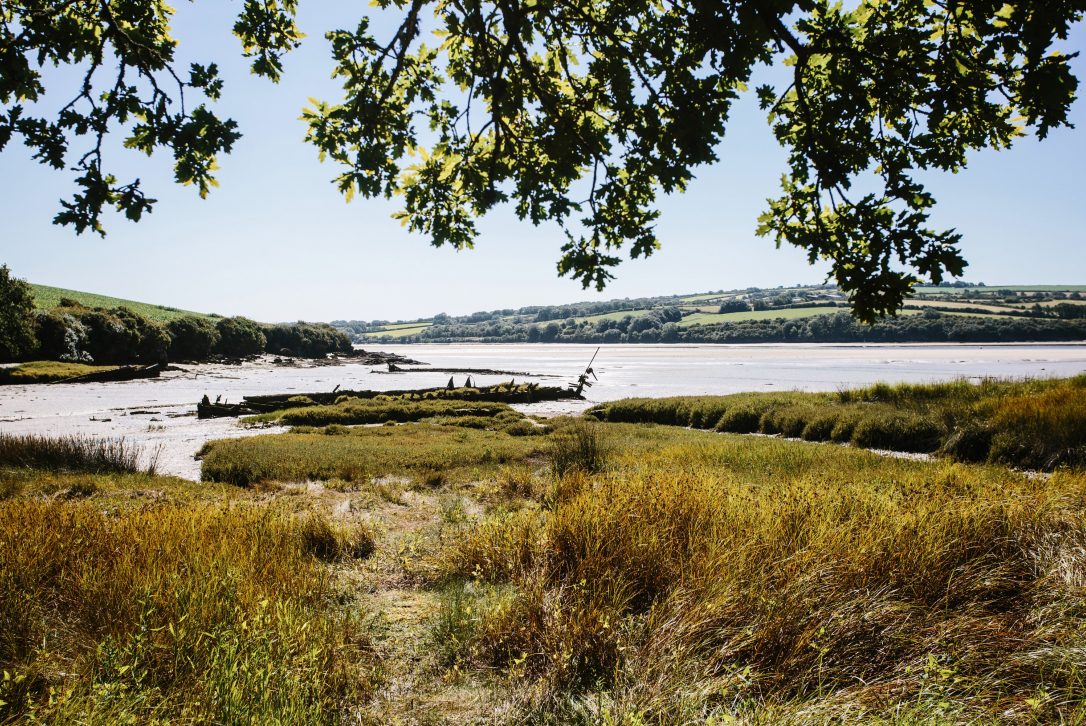 Cant Farm, a private estate on the banks of the Camel Estuary near Rock, North Cornwall